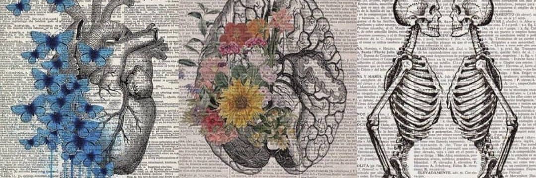 thepersephonem's profile banner image