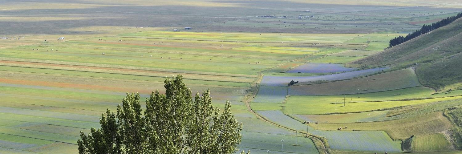 giancarlo marchetti banner