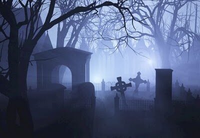 littletaurus22's profile banner image