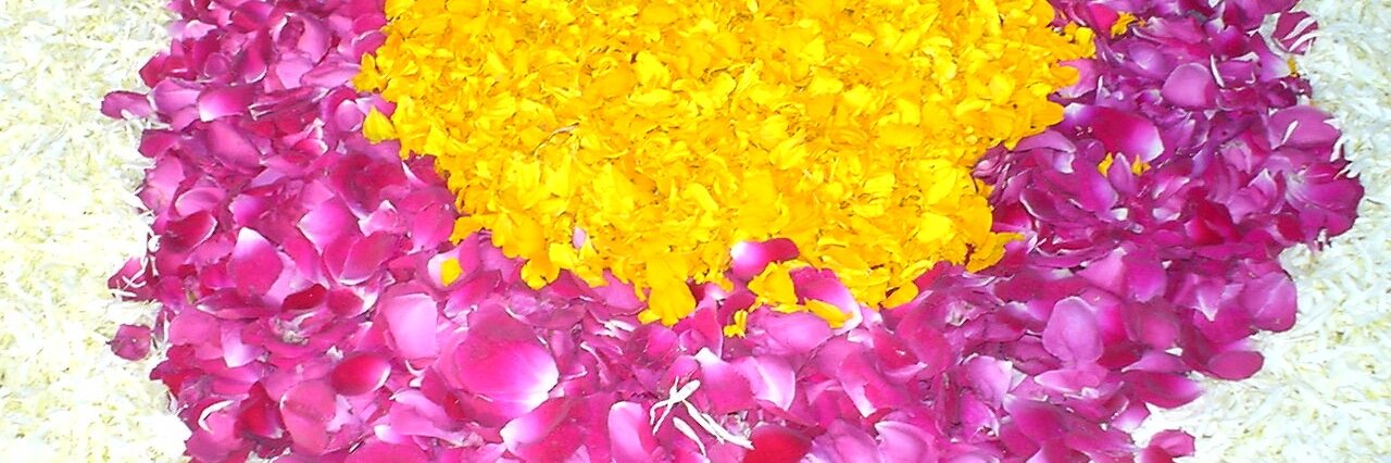 PFCtweet1's profile banner image