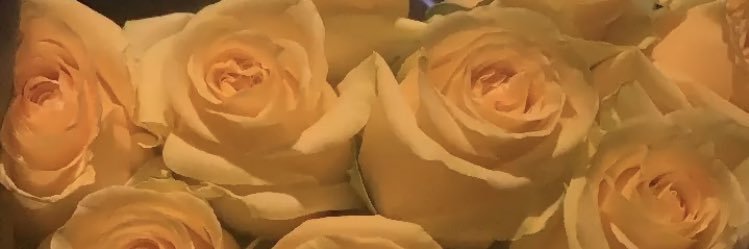 sweetsophiie's profile banner image