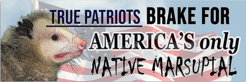 Tom Snarsky's banner