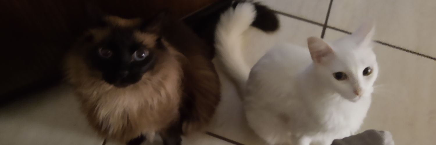 _beaap's profile banner image