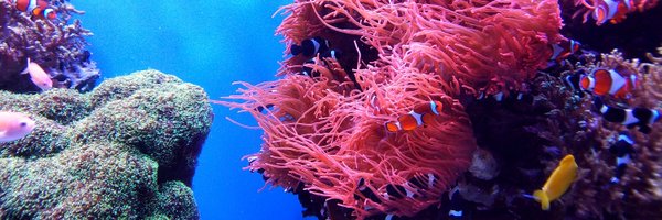 simplyscuba Profile Banner