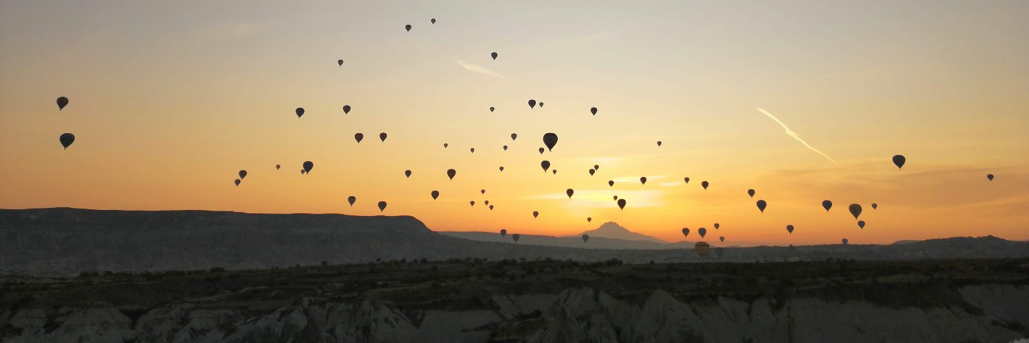sofifortuni's profile banner image