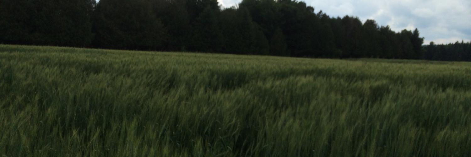 Ouelto's profile banner image