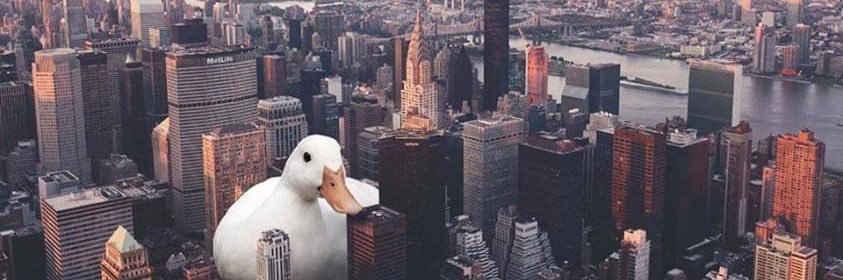 jamestobbins's profile banner image