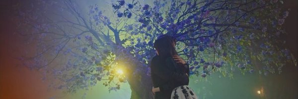 Zarrandra Profile Banner