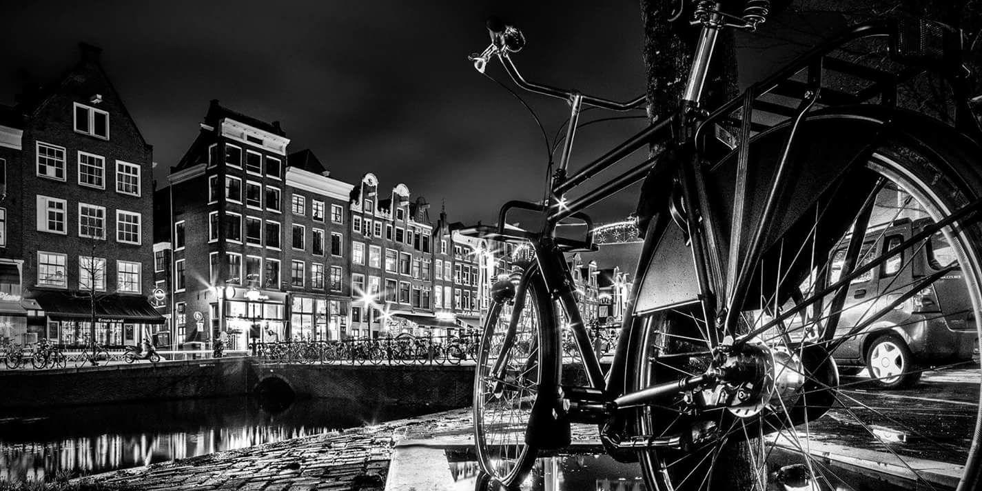 CJBettini's profile banner image