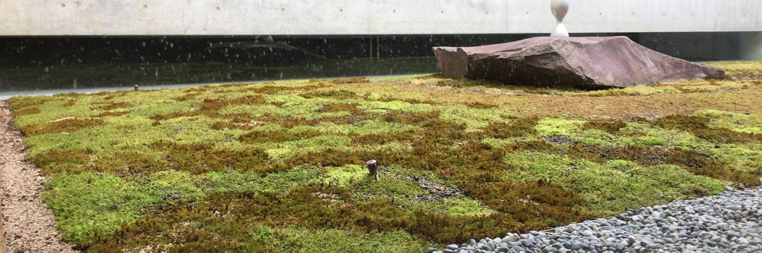 Minna Eväsoja banner