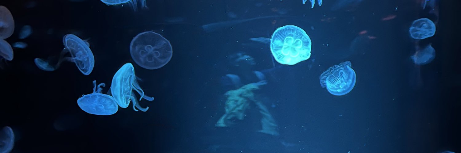 2na76's profile banner image