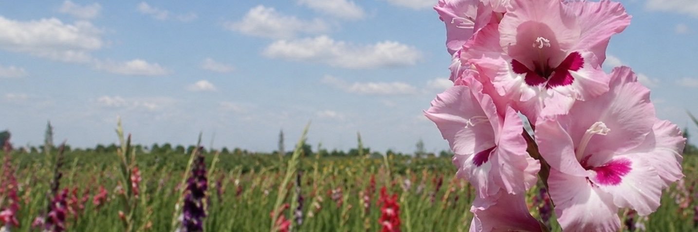 gl_ky_'s profile banner image