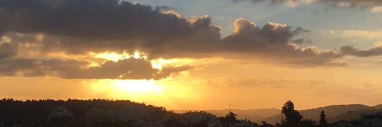 Stephanie Romano banner