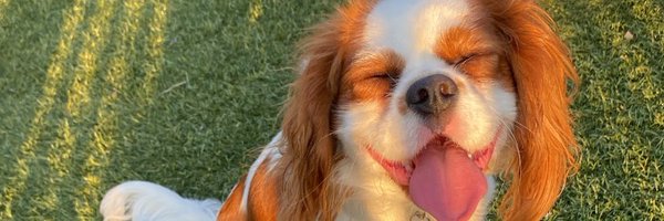 NicoleBaxter512 Profile Banner