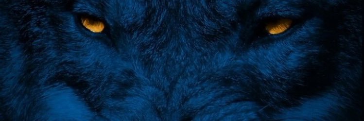 bramax1967's profile banner image