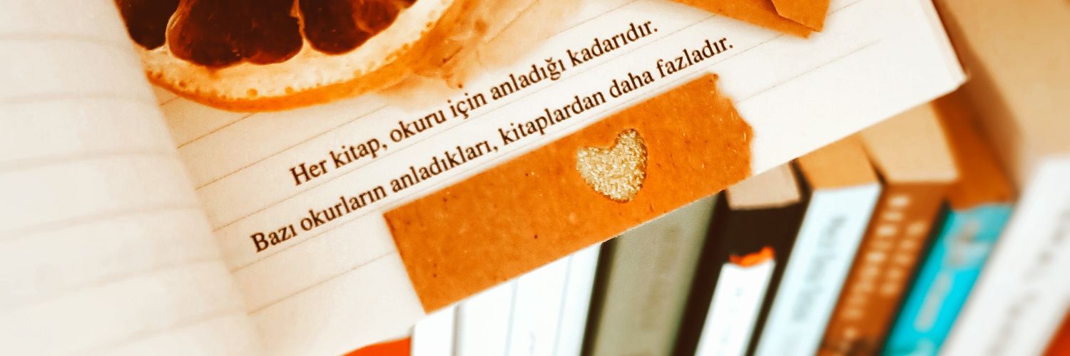 ayseeeeecelik's profile banner image