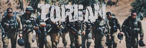 TOREAN HARDCORE banner