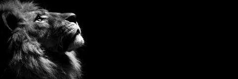 _mstyle79's profile banner image