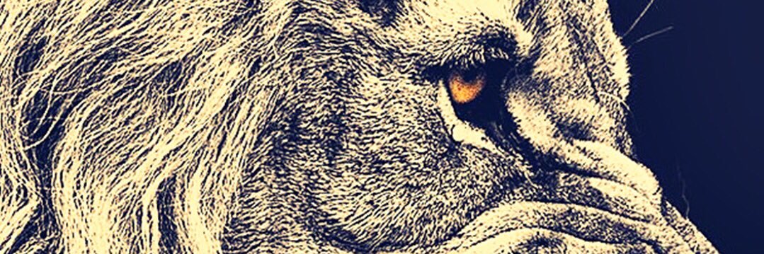 CabronRuben's profile banner image