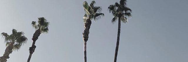 ArthurNoize's profile banner image
