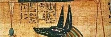 Chumpsky banner