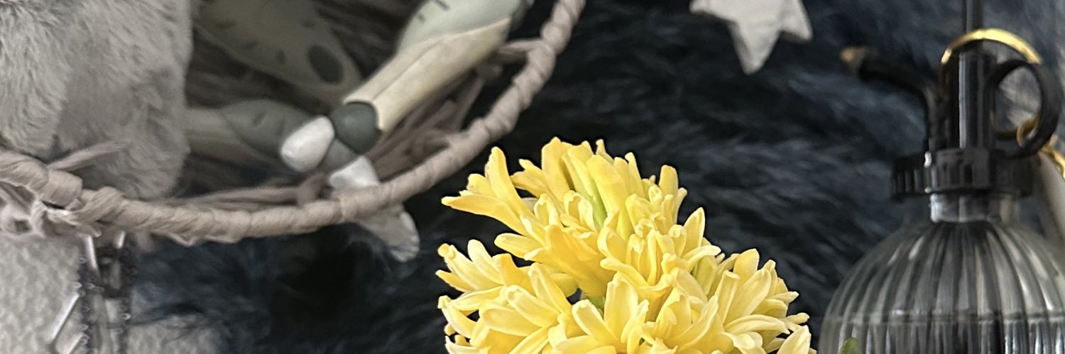 m2m2_n's profile banner image