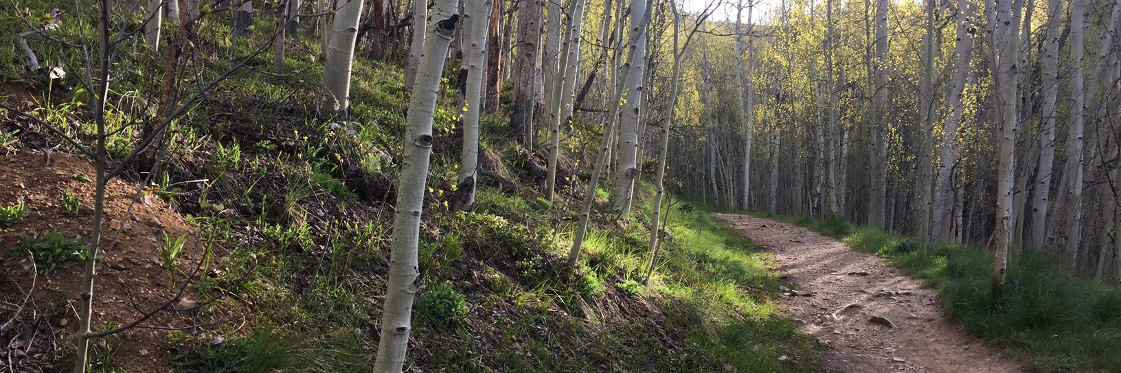 Bikenridge's profile banner image