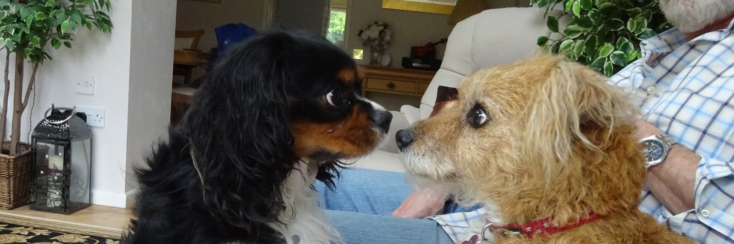 Barneydog14's profile banner image