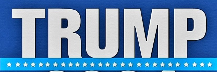 NickyBear45's profile banner image
