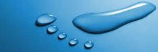 ecoSTP2014's profile banner image