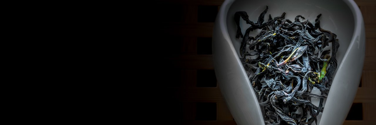 teaexperiment's profile banner image