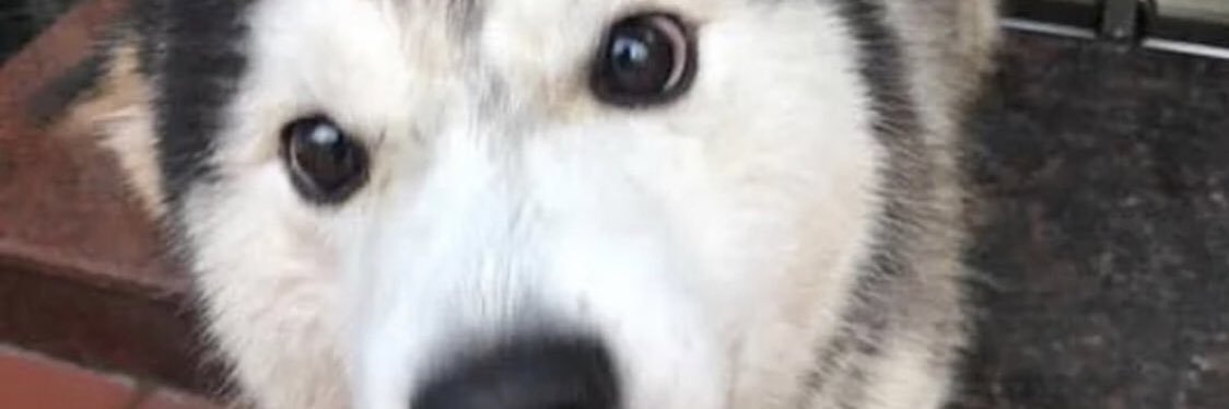 HillermanGage's profile banner image