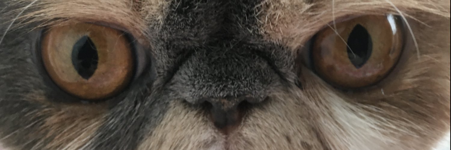 valueoftruth_'s profile banner image