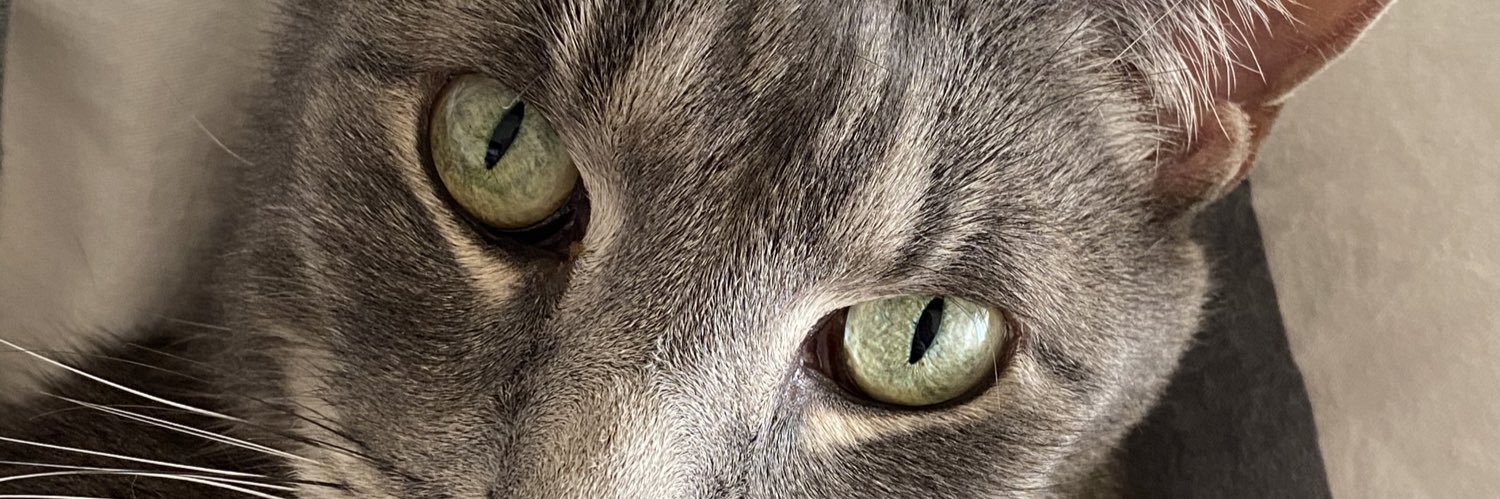 virg0sgr's profile banner image