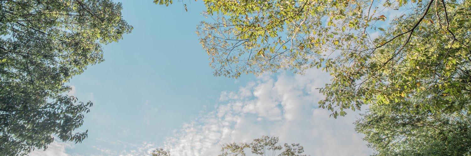 kyyk0530's profile banner image