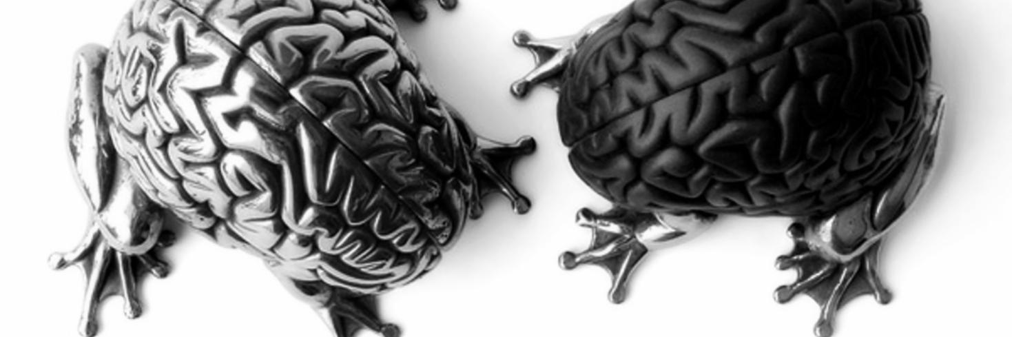 BrainyToads's profile banner image