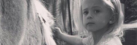 SkylynnTH_'s profile banner image
