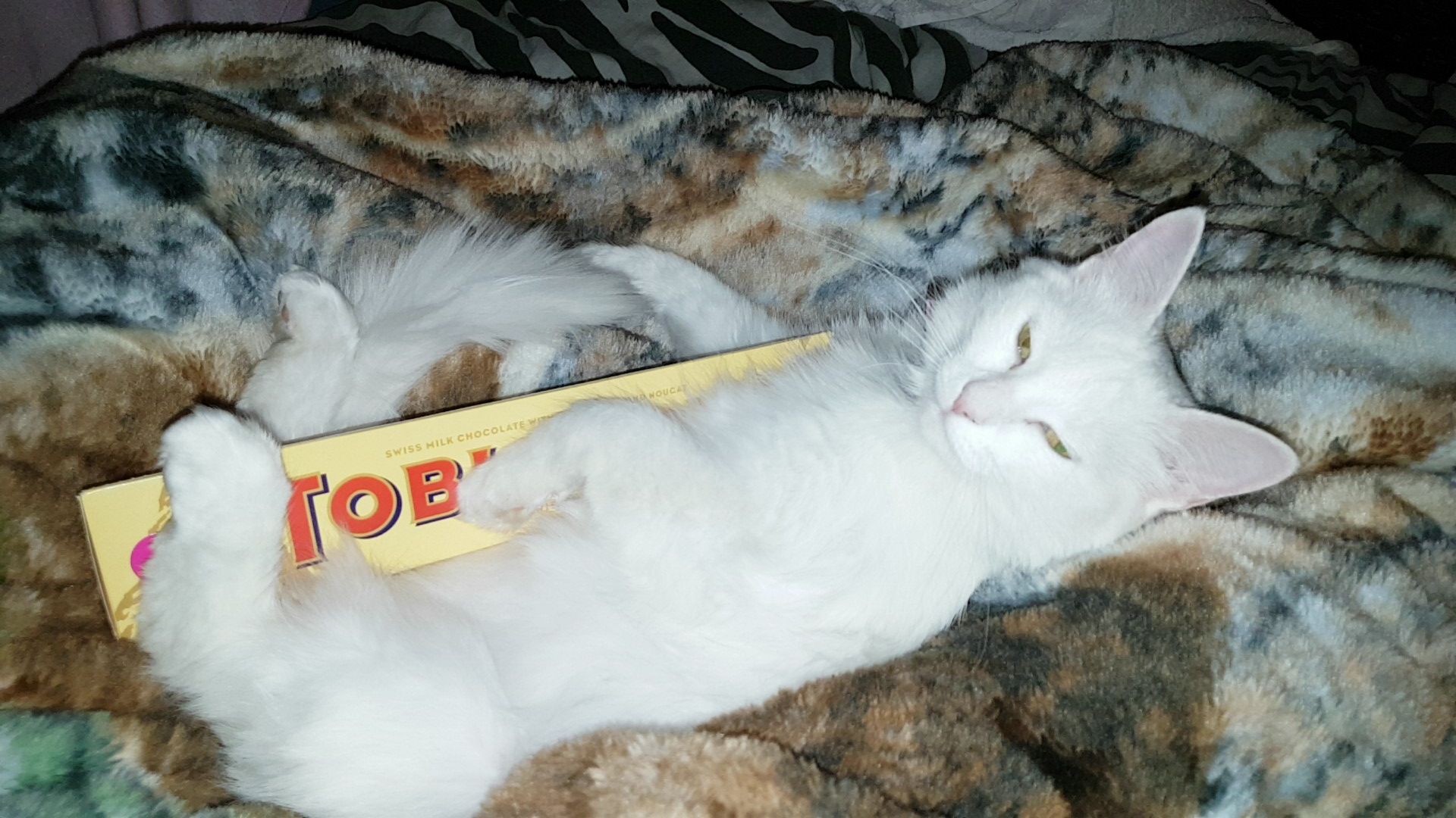 Deadpoolisdead banner