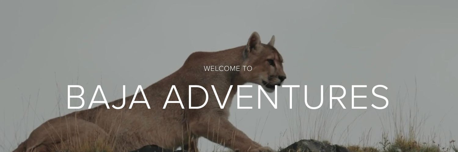 NakaweProject's profile banner image