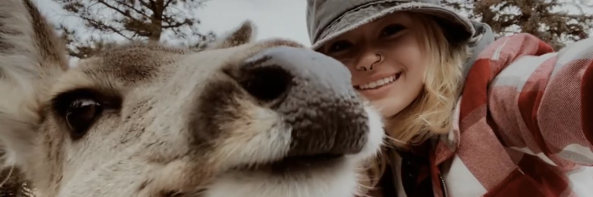 MagieMariee's profile banner image