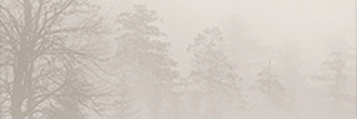 sham_m2014's profile banner image