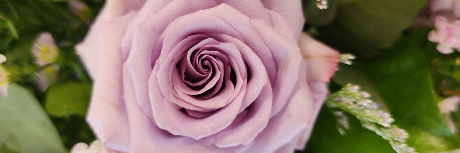 asaltyredhead's profile banner image