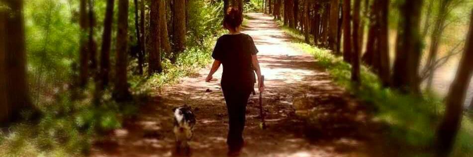 magicwithdogs's profile banner image