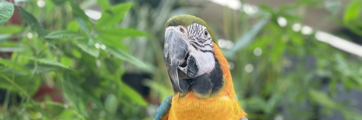 AblerWill's profile banner image