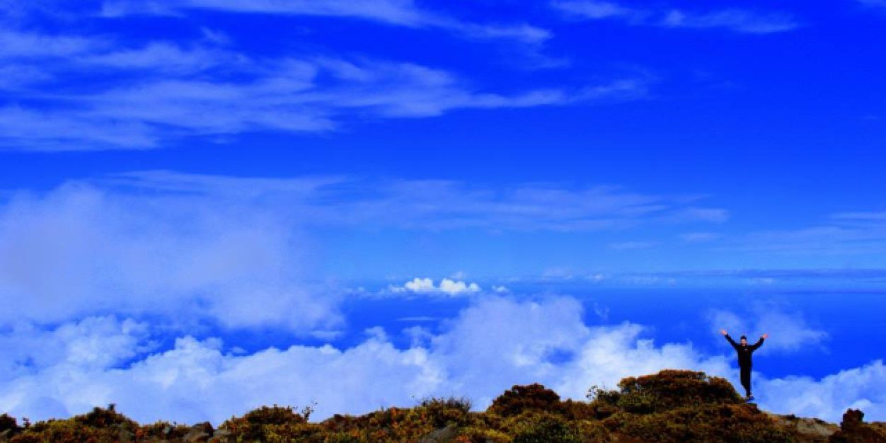 Kimber_Murph's profile banner image