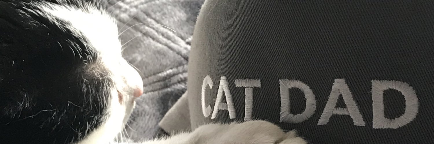 gigglingfool's profile banner image
