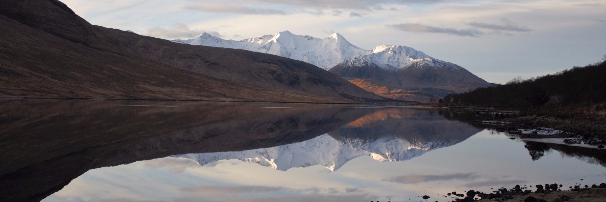 happymarmot's profile banner image