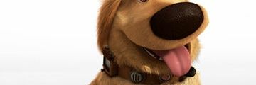 avinish13's profile banner image