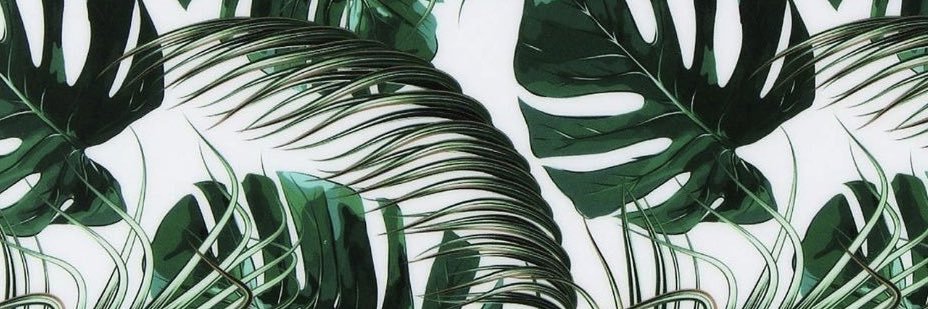 MariaCamilaBT's profile banner image