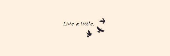 ✨ banner